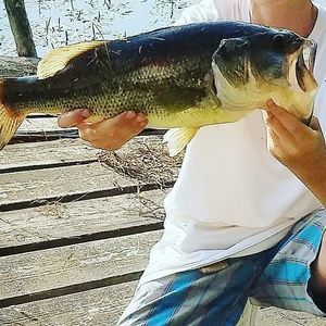 Meet your Posher, Lane